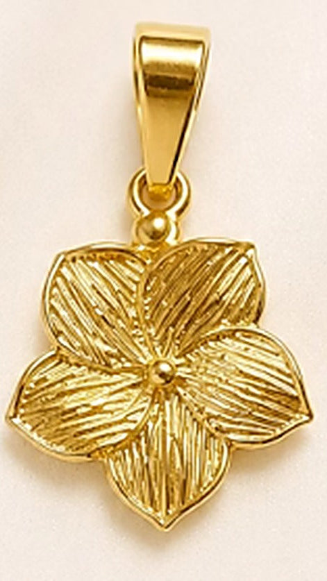 Kaoz joyas